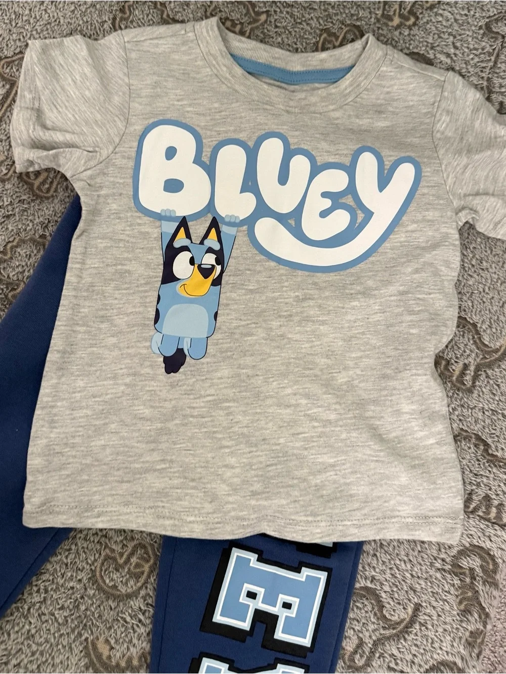 Bluey official themed